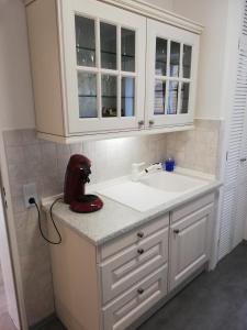 兰格尔斯海姆Hills Hut的厨房配有白色水槽和白色橱柜