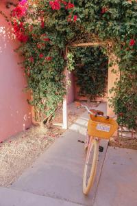 棕榈泉Les Cactus的停在花房旁边的自行车