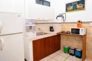 阿约拉港Tintorera Guest House的厨房配有水槽和微波炉