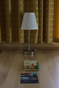 施蒂利亚州毛特恩迈尔家庭旅馆的坐在书边桌子上的灯