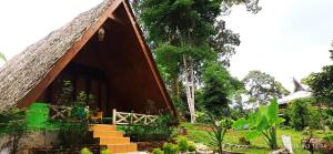Tangkahan唐卡汉绿色森林酒店的茅草屋顶的小房子