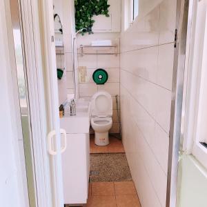 Xiluo西螺後街童话民宿的一间带卫生间的小浴室,配有绿色风扇