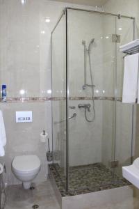 基兹洛沃茨克Hotel Atlantida的带淋浴、卫生间和盥洗盆的浴室
