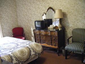 渥太华奥伯格艺术住宿加早餐酒店的一间卧室配有一张床和一个带电视的梳妆台。