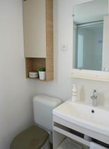 波讷地区圣朱利安Mobile Home的一间带卫生间、水槽和镜子的浴室