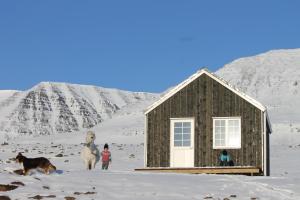 瓦玛里德Sólheimagerði Guesthouse的雪中人马的房子