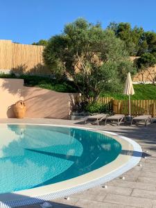 斯廷蒂诺阿西纳拉公园酒店的庭院内的游泳池配有椅子和遮阳伞