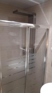 马拉加马可德拉麦西德公寓的浴室里设有玻璃门淋浴