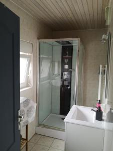 Montigny-lès-MetzDuplex cozy的一间带玻璃淋浴和水槽的浴室