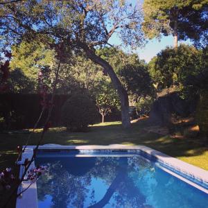 圣西普里亚诺德巴利亚尔塔Casa Feliz的庭院中间的游泳池