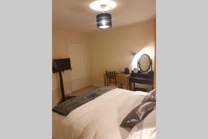 利默里克private-ensuite-room Limerick city stay的一间卧室配有一张床和一张带镜子的书桌