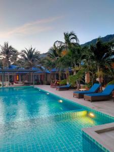 哈林海滩日落海滩别墅度假酒店的一个带蓝色椅子的游泳池,棕榈树