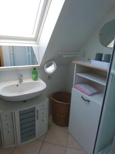 勒鲍Ferienwohnung und Apartment Löbau, Stadt- und messenah的一间带水槽和天窗的浴室