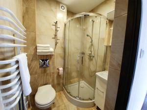 亚斯塔尔尼亚Paradise的带淋浴和卫生间的浴室
