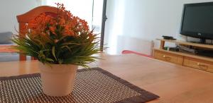 兹拉蒂博尔Apartment Caka的客厅桌子上的花瓶