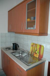 奥林匹亚基·阿克蒂Frideriki Apartments的厨房柜台设有水槽和水槽
