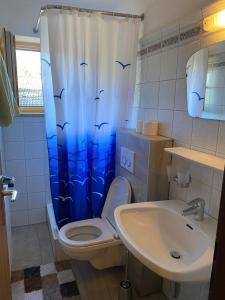 施图拜河谷新施蒂夫特Haus Wildspitz的浴室设有卫生间和鸟瞰式淋浴帘