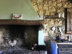 The Lazy Olive Villa - Podere Finerri的厨房或小厨房