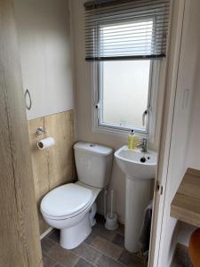 波斯考尔Caravan Porthcawl的一间带卫生间和水槽的小浴室