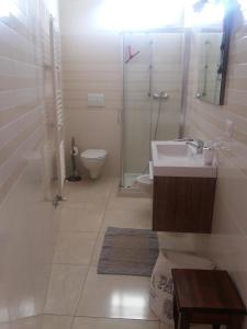 塔维亚诺Appartamento Pompea的一间带水槽、卫生间和淋浴的浴室