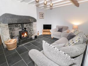 布莱奈费斯蒂尼奥格Garreg Lwyd的客厅配有壁炉和沙发。
