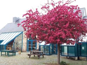 圣布里厄Auberge de Jeunesse HI Saint-Brieuc的一座建筑物前有粉红色花的树