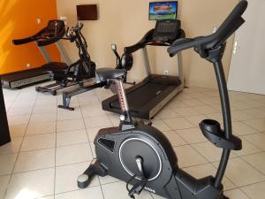 伊斯特尔阿里亚纳酒店的健身房设有3辆健身自行车和跑步机