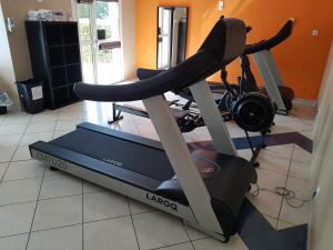 伊斯特尔阿里亚纳酒店的一间带跑步机的健身房
