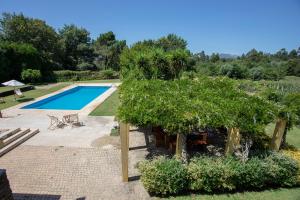 卡米尼亚Liiiving in Caminha | Countryside Pool House的一个带游泳池和树的花园