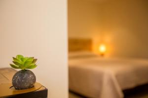 卡尔维Hotel Cesario的一张桌子上的植物,房间带两张床