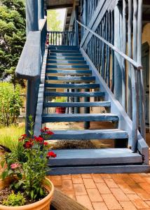 圣达菲瓜达卢佩旅馆的一条有蓝色台阶和一盆鲜花的楼梯