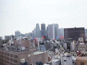 东京馨乐庭中央东京新宿区酒店的享有城市和高楼的景色