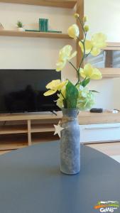 GelenauFerienwohnung August 24的电视机前的桌子上花瓶