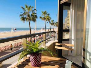 加的斯Victoria Beach Sunset Lounge的坐在俯瞰海滩的阳台上种植了盆栽植物