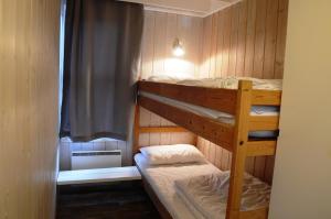 Ljørdal16-Nasjonalpark, sykling, fisking, kanopadling, skogs- og fjellturer的带窗户的客房内的两张双层床