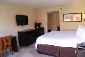 好莱坞柯蒂斯汽车旅馆的一间卧室配有一张床和一台平面电视