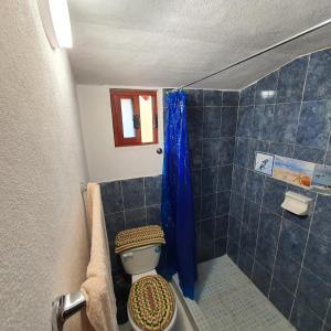 萨卡特兰Habitación sencilla en Zacatlán Centro的浴室配有卫生间和蓝色瓷砖淋浴。