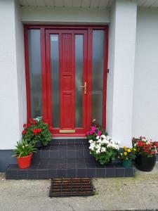 博伊尔Hillgrove House的前面有三棵盆栽植物的红门