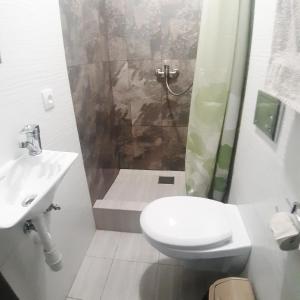 罗夫诺Міни - готель в центрі Apartment in Center的浴室配有卫生间、淋浴和盥洗盆。