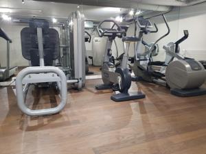 日内瓦纳什机场酒店的健身房设有数辆健身自行车和跑步机