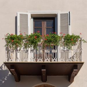 圣温琴佐Palazzo Degli Archi的窗户,阳台上装有鲜花