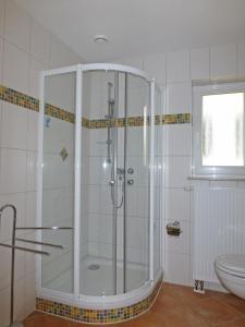 格拉尔-米里茨Ostsee Ferienwohnungen und Ferienhäuschen的带淋浴和卫生间的浴室