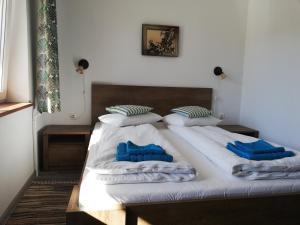 PăulişCasa Ago - Guest House的一张带白色床单和蓝色枕头的床
