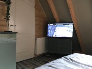 EenrumT’ Hogeland Ainrom的一间位于阁楼的带平面电视的卧室
