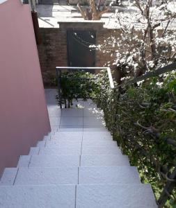 圣罗莎El Poblador的楼边有植物的楼梯
