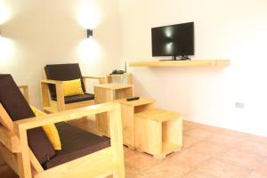 La Herradura巴伊亚德尔索尔酒店的客厅配有2把椅子和平面电视