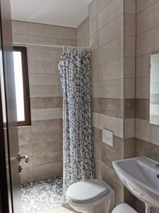 Stroe BeloescuPensiunea Diana的带淋浴、卫生间和盥洗盆的浴室