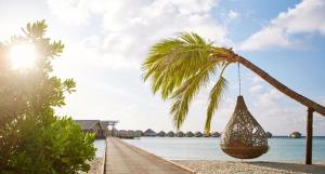 马米基里LUX* South Ari Atoll Resort & Villas的海滩上棕榈树上的吊床