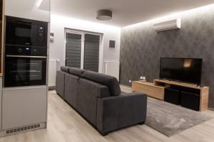 亚斯贝雷尼Manna Aparthotel的带沙发和电视的客厅