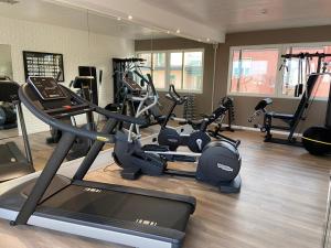 维罗纳Hotel Giberti & Spa的健身房设有数台跑步机和健身自行车